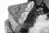 Octahedral Magnetite Crystals On Calcite - Russia #209434-2